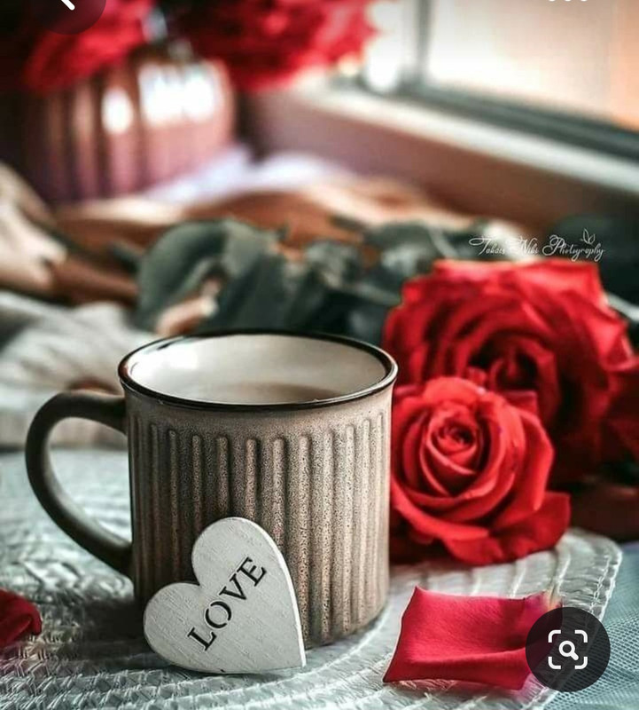 Screenshot_20230717_222020_Pinterest