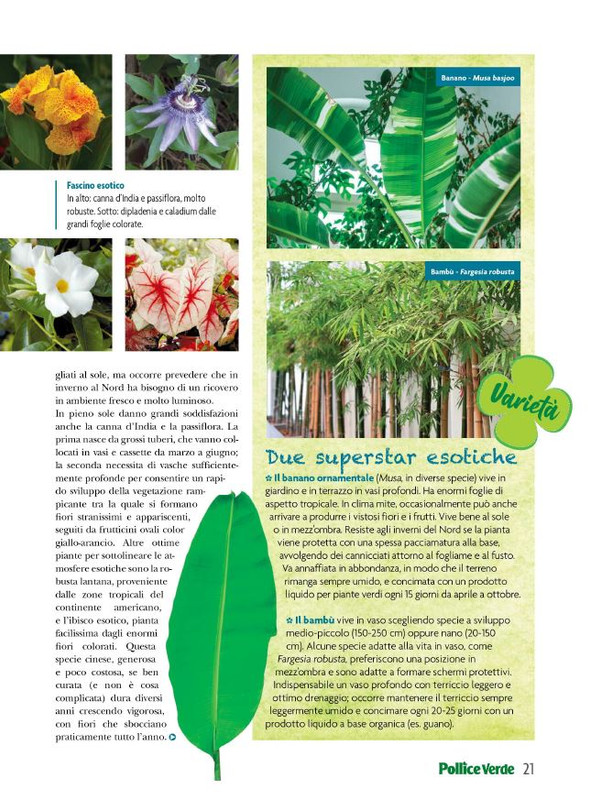 Pol Ver Lug 2023 (4)