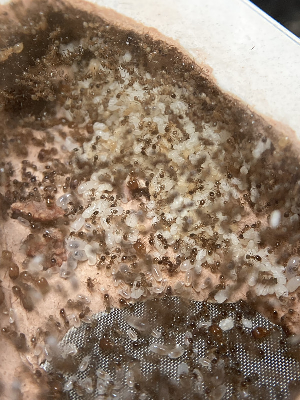 075F7F2C-4A6A-4A9A-8A99-5A3F96067AF4