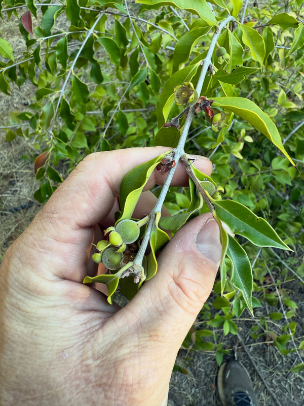 5F74533F-4093-4787-A31D-E499E4BA485B