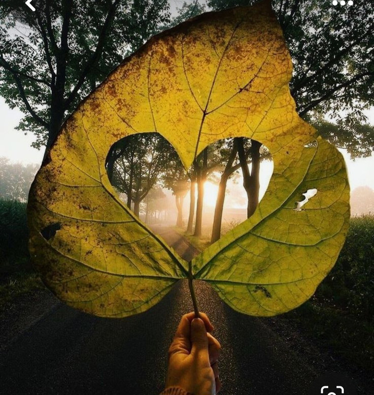 Screenshot_20240210_221940_Pinterest