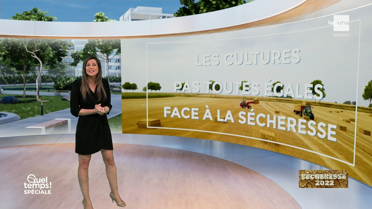 Météo 2022_08_25_11_40_00.ts_snapshot_07.53.073