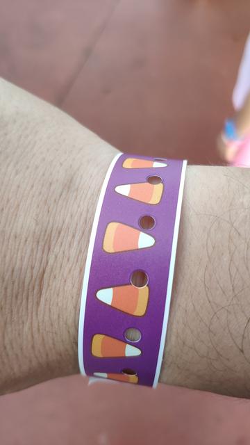 El secreto mejor guardado. Walt Disney World - Orlando octubre 2019 - Blogs de USA - Typhoon Lagoon y MNSSHP (18)
