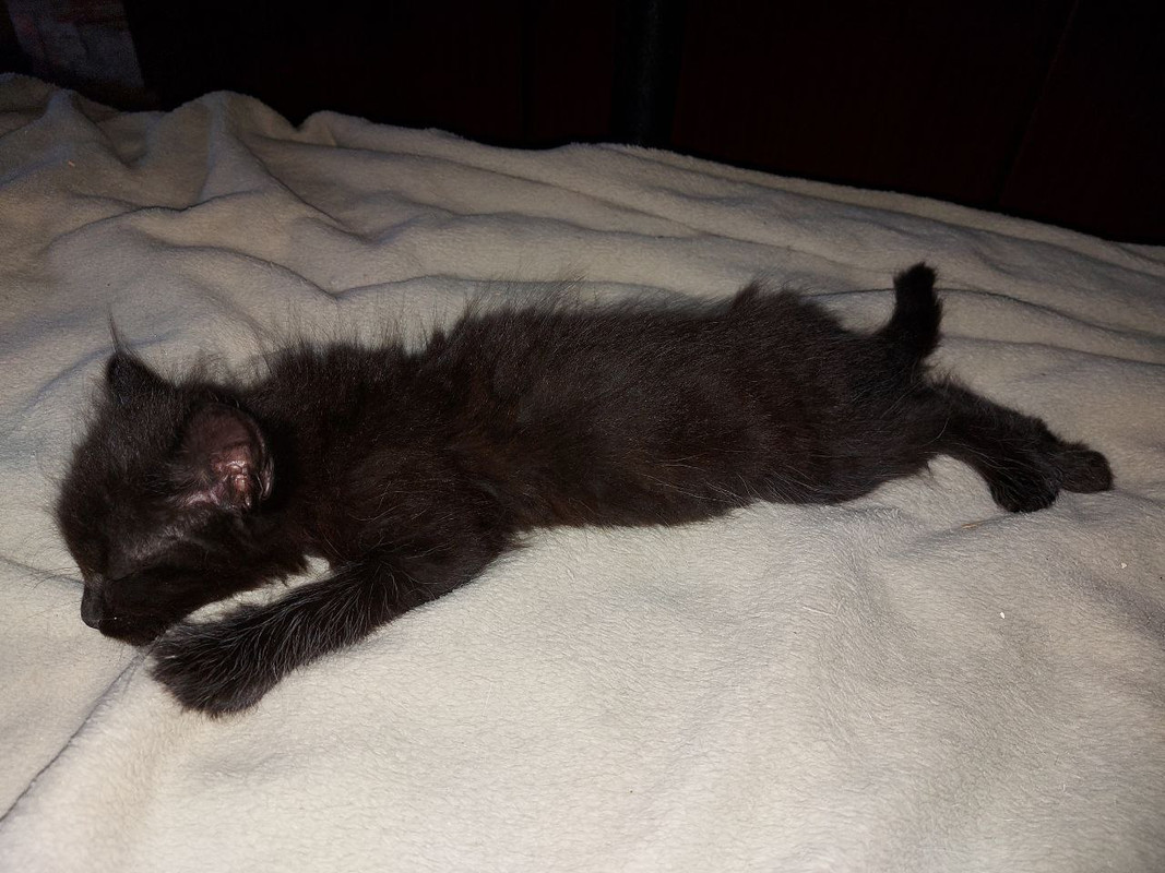 photo_2025-08-05_12-19-48 (2)