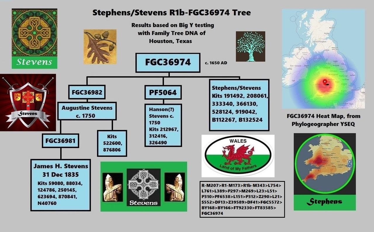 [Image: Stephens-Stevens-FGC36974-Tree.jpg]