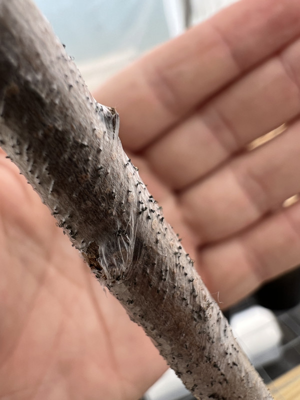 1BAF32BF-DC45-4211-ABF5-84CDC7FA882F