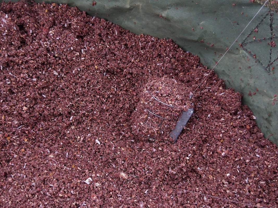 Добрянка 02.12.15 02