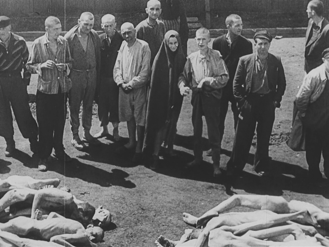 vlcsnap-2020-02-23-00h08m29s177