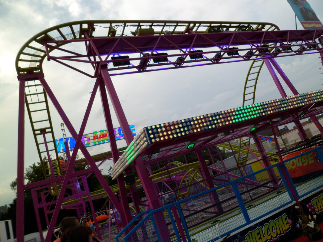Wild mouse - Thomsons Event Group (UK/SC) - polypweb.eu