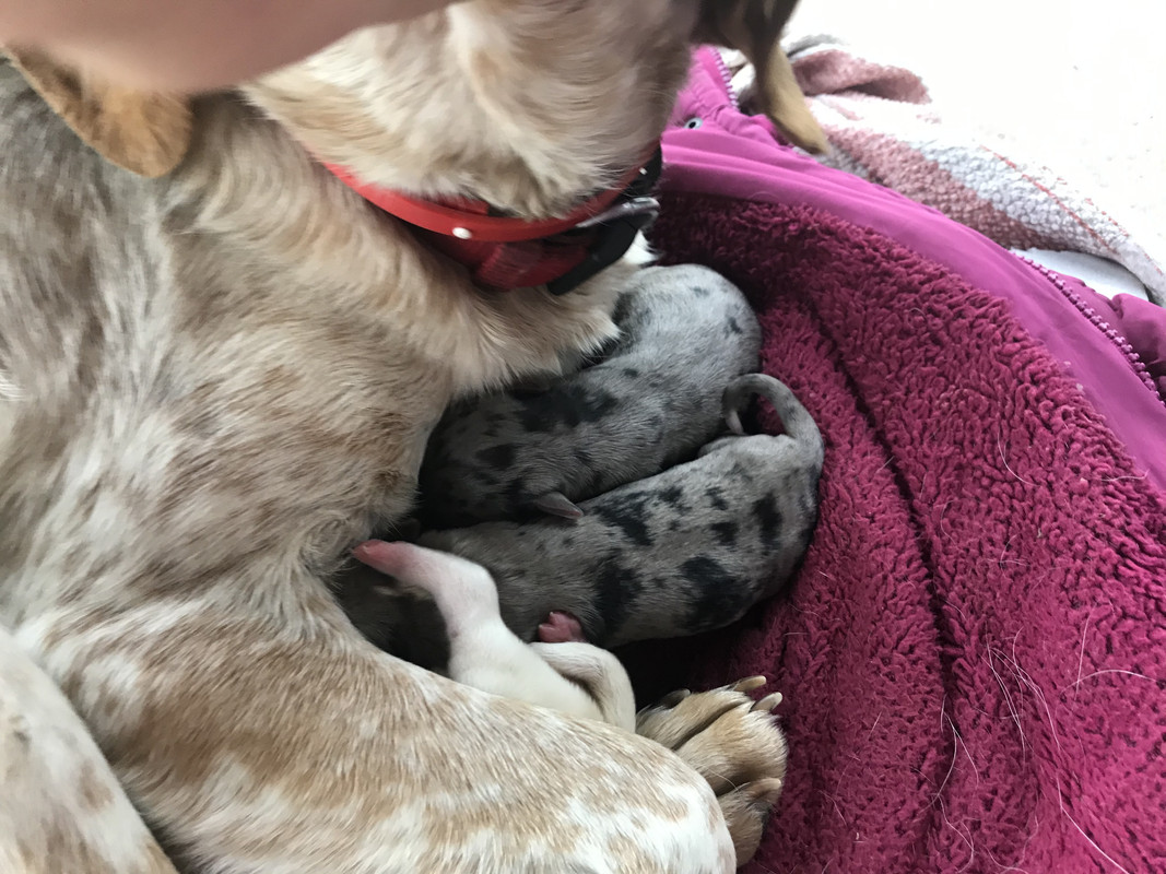 A5572E90-5BA2-448D-9A5B-852AC73B5FE5