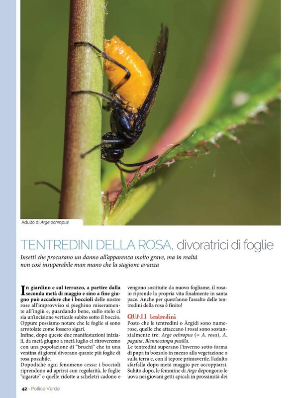 Pol Ver Mag 2022 (7)