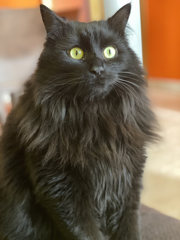 3BE34C85-946C-4460-BC8E-F11D063F783B