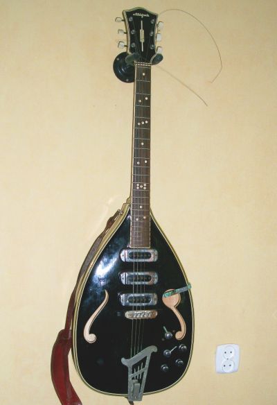 1313172673_2067_FT67194_visa_