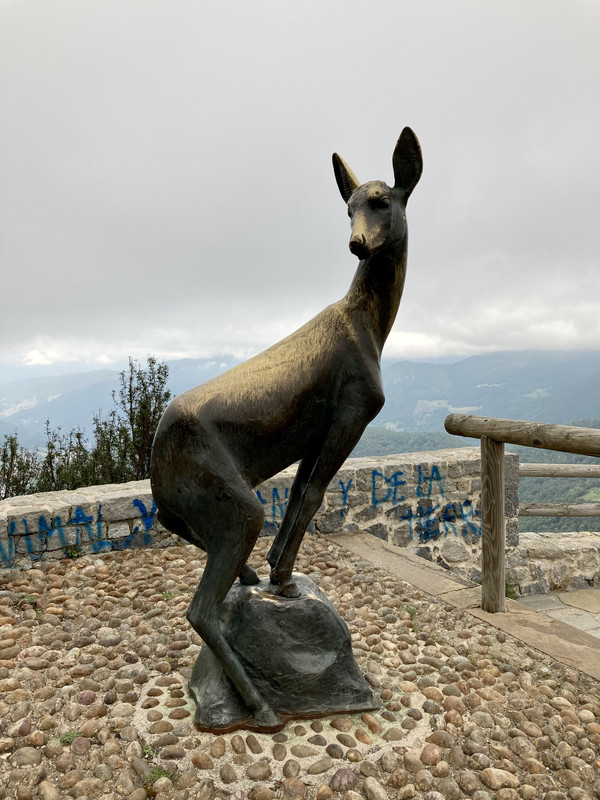 675C1486-A669-46FF-9016-4C0BE5C7B125