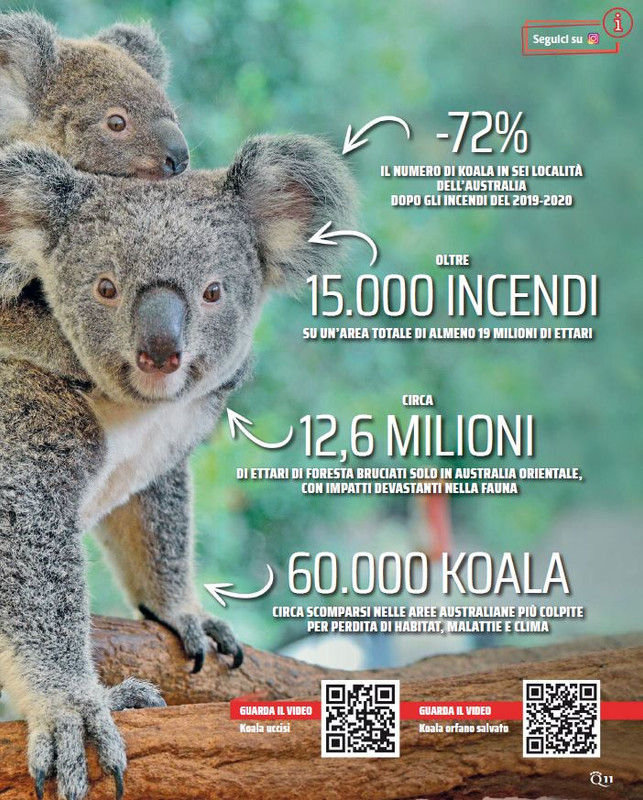 QuattroZampe Feb 2023 (12)