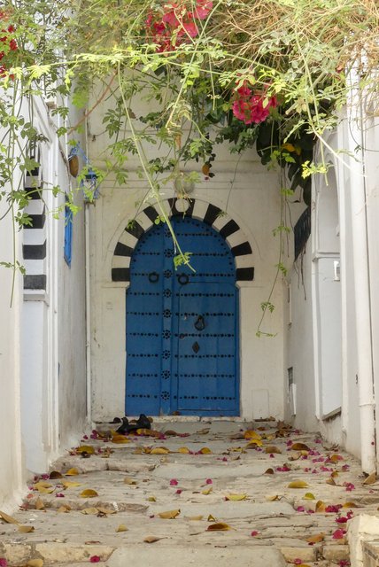 Una semana en Túnez por libre - Blogs de Tunez - Cartago y Sidi Bou Said (13)