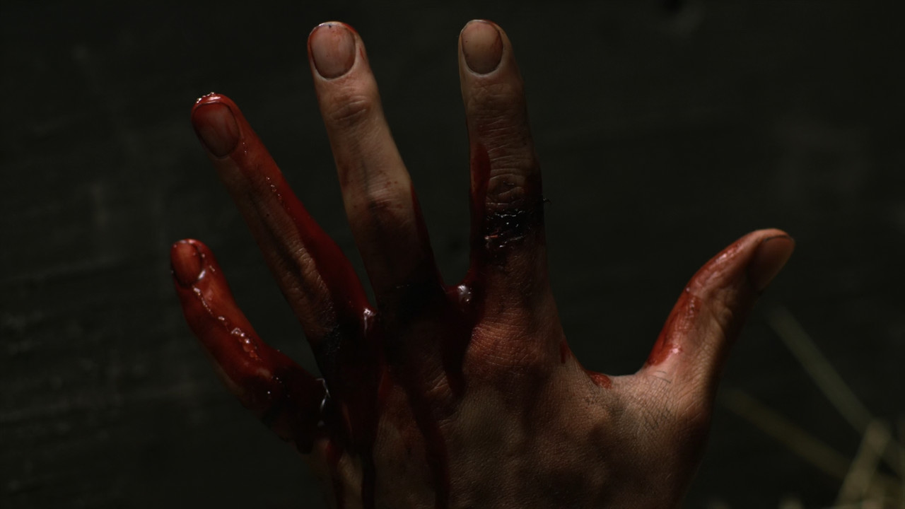 Outlander (2014) - S03E01 - The Battle Joined (1080p BluRay x265