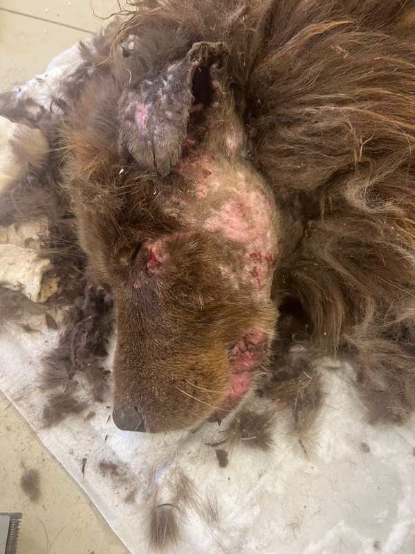 WhatsApp Image 2024-03-30 at 17.08.31 (2)