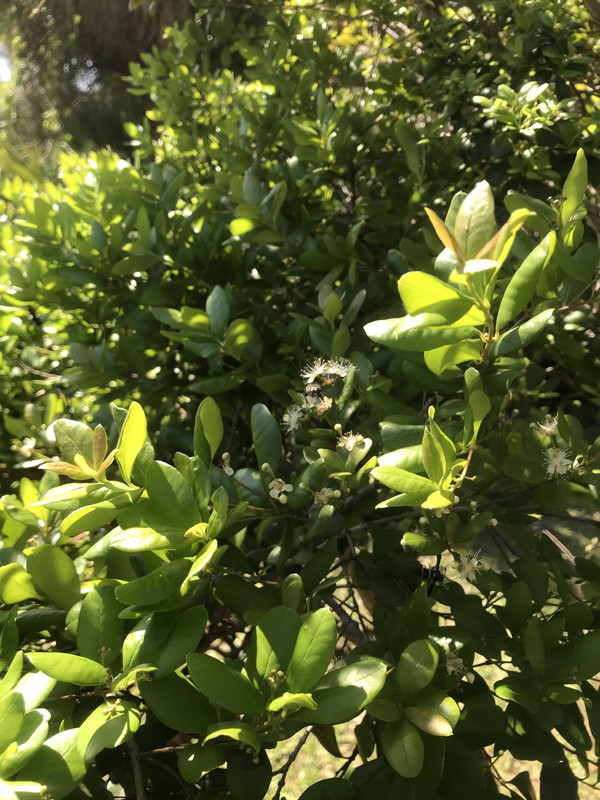 2EB3CDDE-6AF5-4CF0-B6E5-0B9843CD39A6