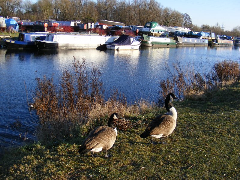 DSCF6593.jpg