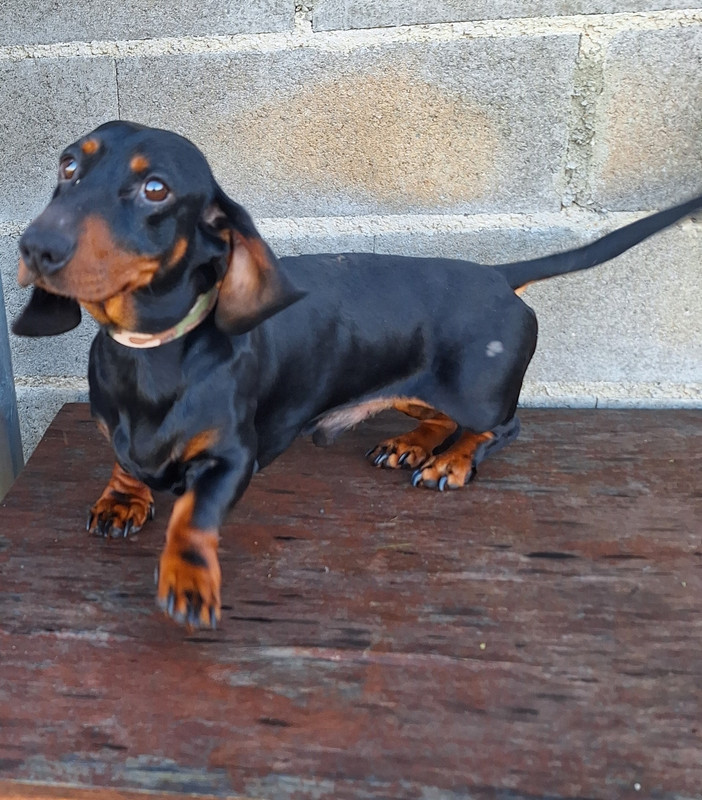 [Image: 20231220-123335.jpg]