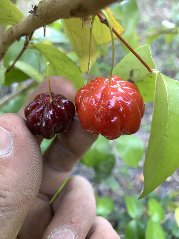 46FD89B3-8917-4DCD-ABD4-ADFD6A5DE391