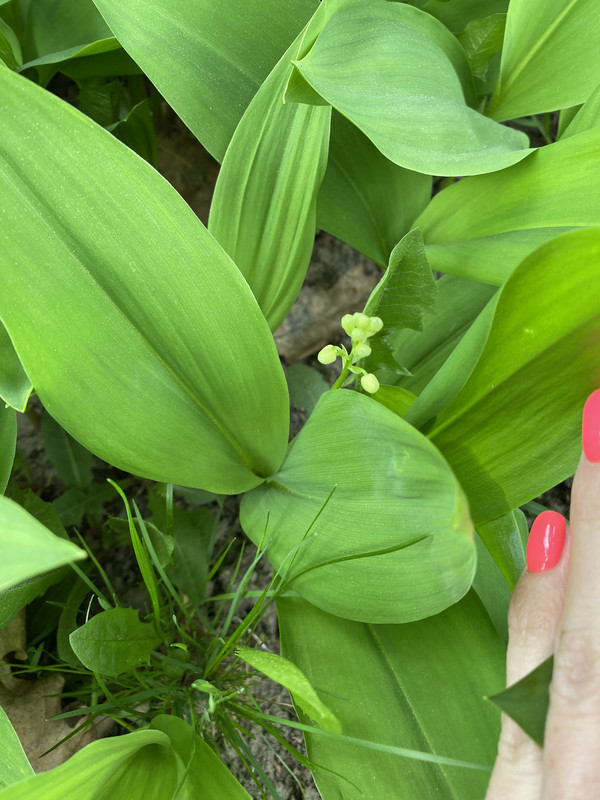 F6BA7936-6612-49F1-AD54-C67769341EE2