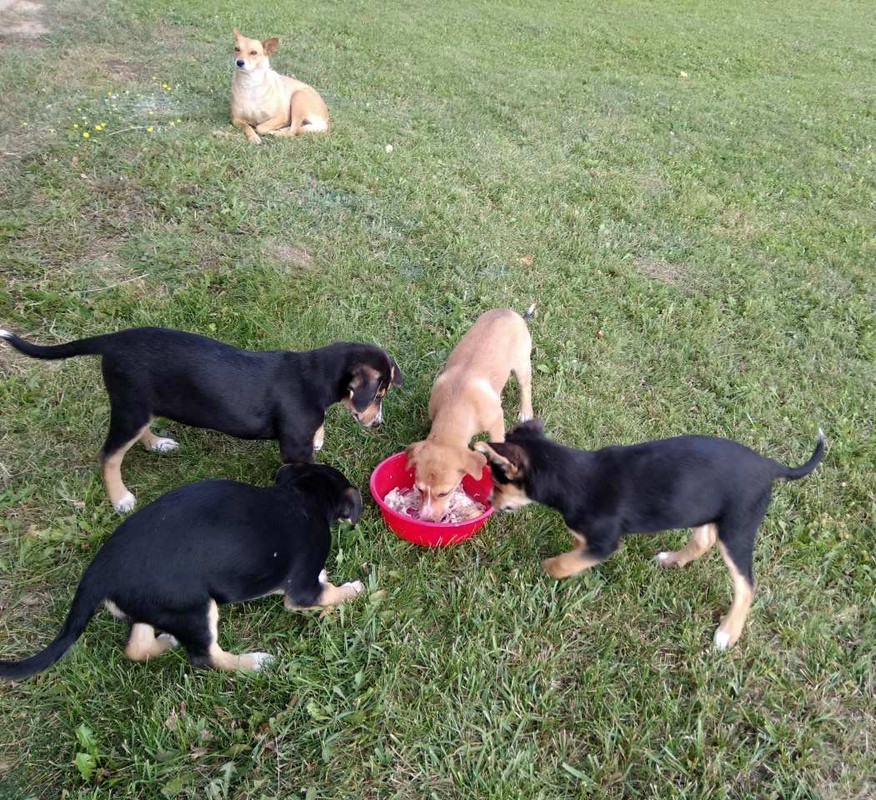 изображение_viber_2019-09-15_15-40-12