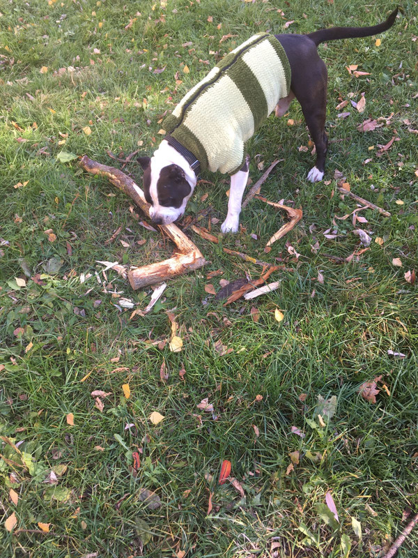 EE543E27-7726-451A-A31C-1D29F3712348