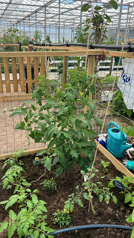 F5B46FA8-E516-4B96-97C2-B47E36F3D59D