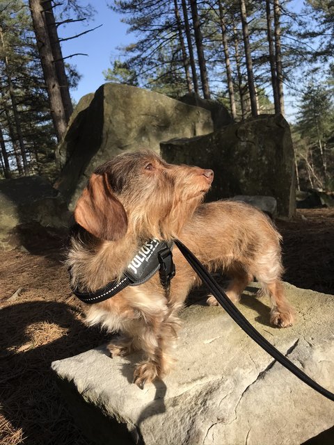 [Image: ABB85-D54-1-B6-F-4-B05-80-B5-96-F62-C44317-F.jpg]