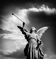 1362159150-Angel-Trumpet.jpg