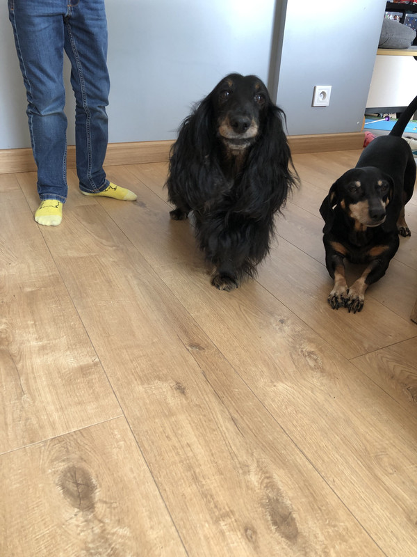 [Image: IMG-9301.jpg]