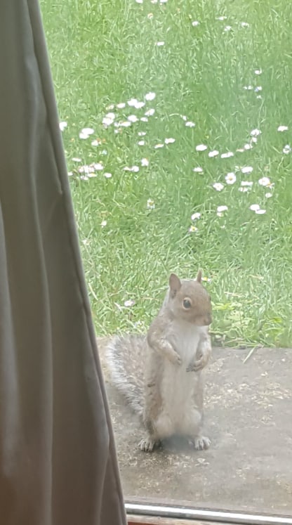 62239308-434006630664811-605093733750276