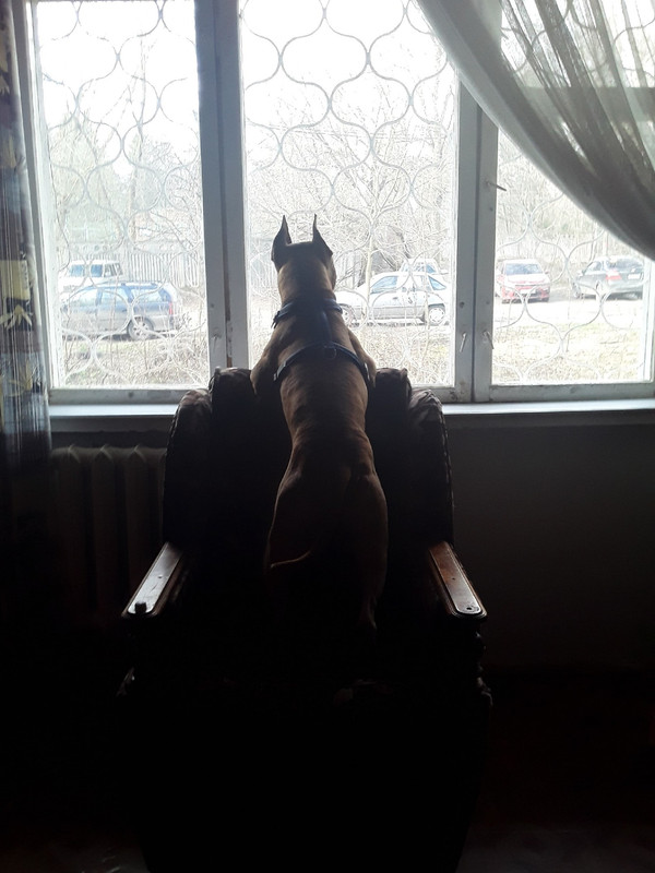 BAB43620-F50D-4ECA-8BDE-ACFE83C4C94E