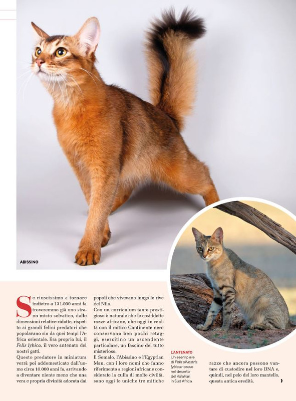 Ga Ma Ott-Nov 2024 (2)