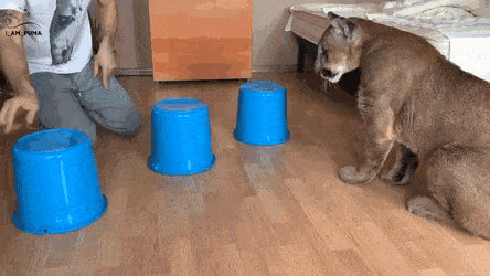 daily-gifdump-3410-16.gif