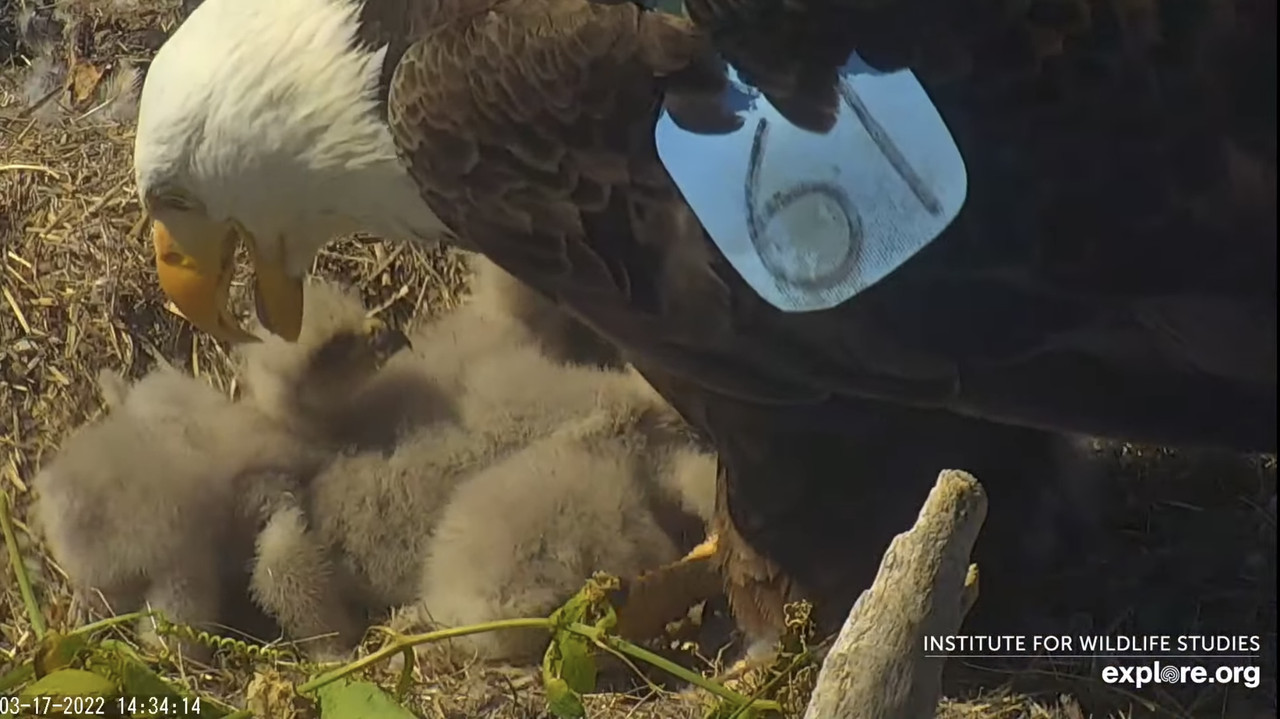 5918C63A-E806-4772-9AB9-0AE958E0B870