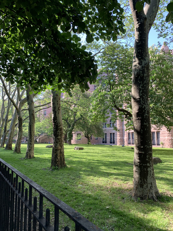 1D9BB932-0E38-47AE-8C0B-6335978B4FD0