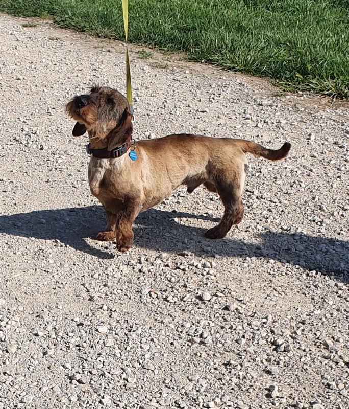 [Image: 20230706-184215.jpg]