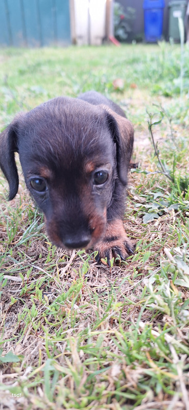 [Image: 20250530-202758.jpg]