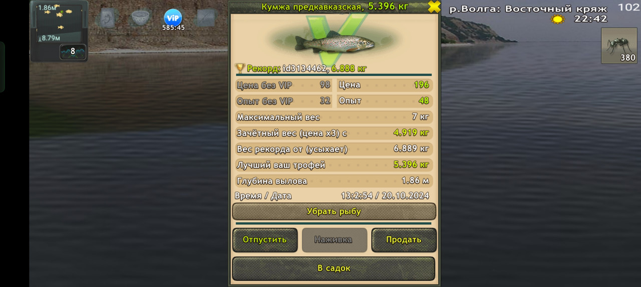 Screenshot-2024-10-20-13-02-57-05-fa28ee