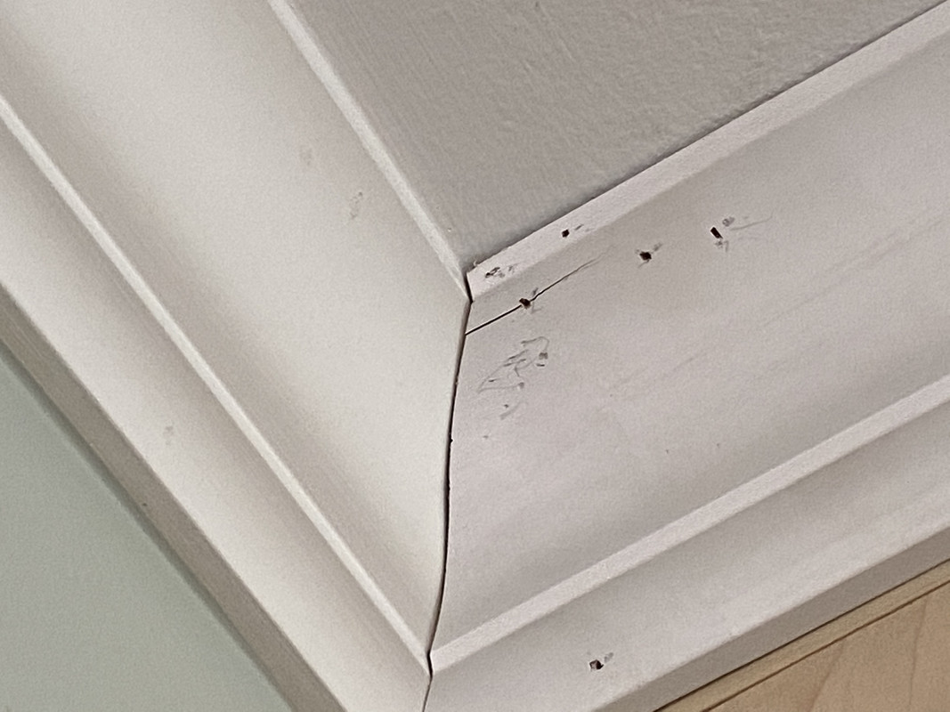 42279FCD-E6A6-4EE9-A6F8-DE4650DBCED5