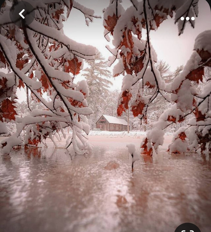 Screenshot_20231024_235236_Pinterest