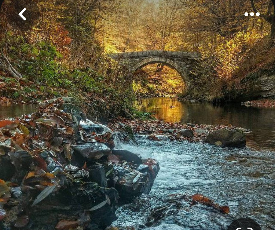 Screenshot_20231119_101518_Pinterest