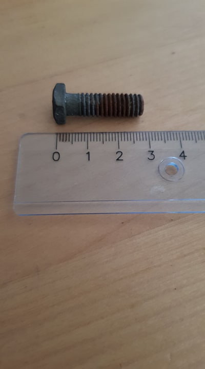 Bult hittat under barndoor 1951 06Sep19 1