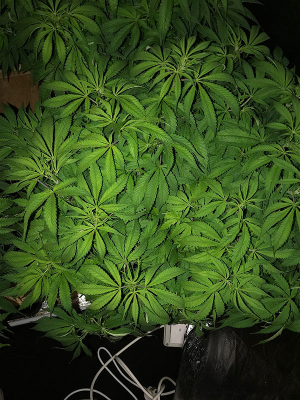 6FD5B6CE-AA76-43C2-9206-5FB302BE775C