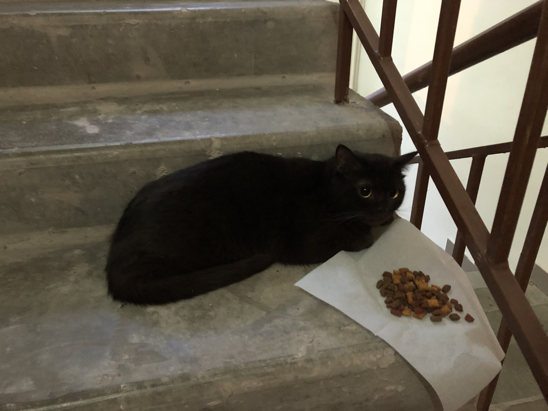 D4D75EA7-81AA-4476-993A-FA67854705F0