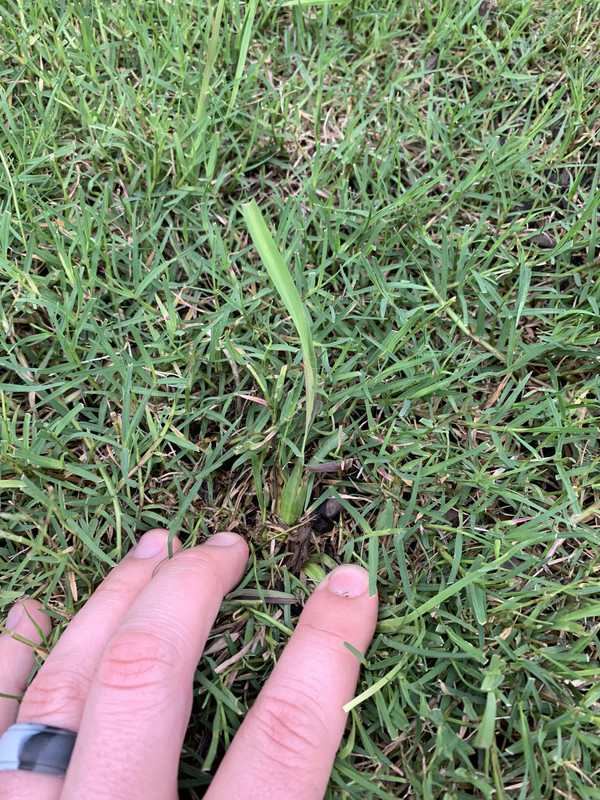 94FFB30F-1A5B-476F-9D95-9694B2DDD444