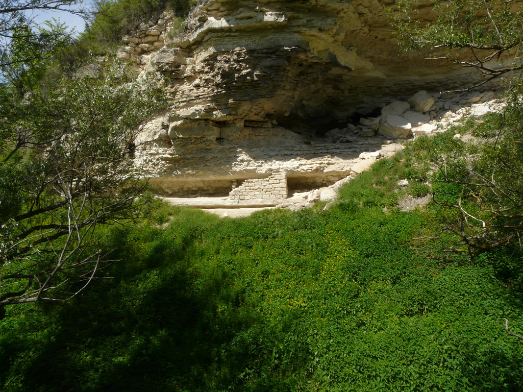 P1290433.jpg